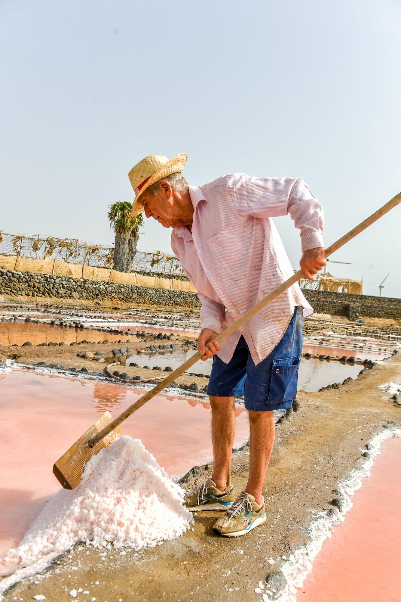 Salinas de Vargas