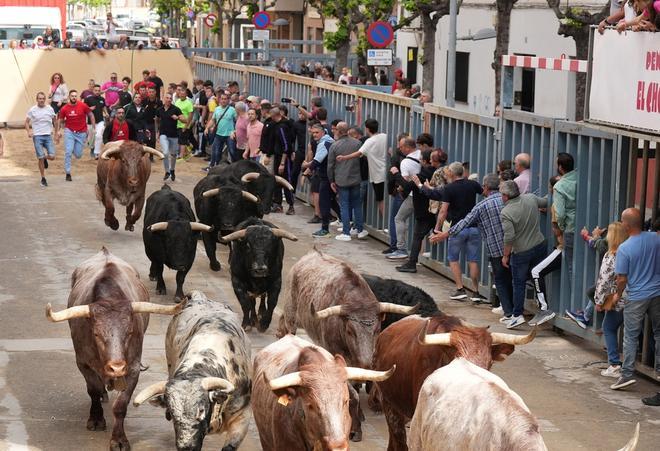FOTOGALERÍA I Las imágenes de la segunda jornada de las fiestas de Sant Pasqual de Vila-real