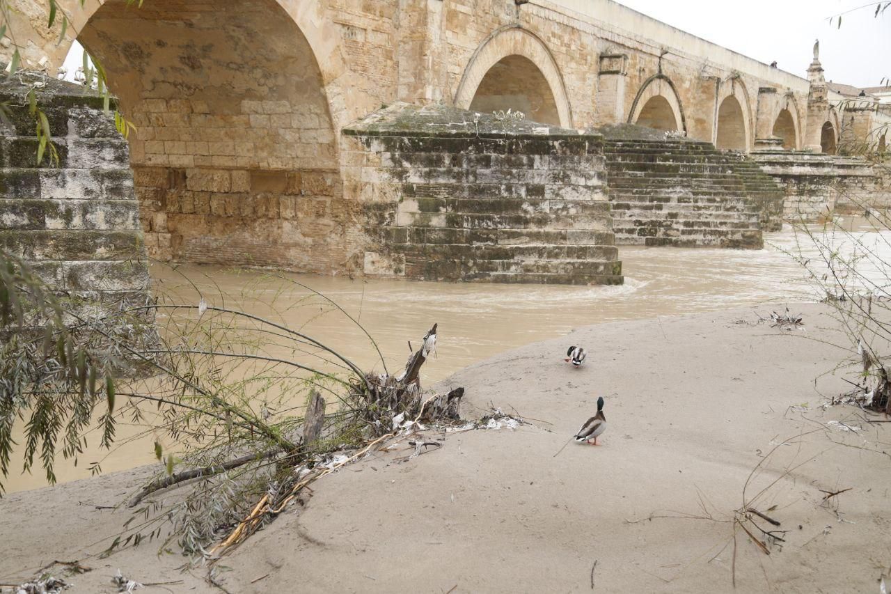 Sadeco culmina la limpieza de las zonas alcanzadas por el río