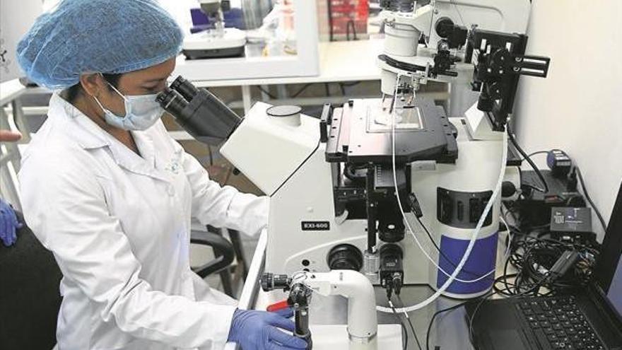 La lista de espera para una fecundación ‘in vitro’ en Aragón es de un año