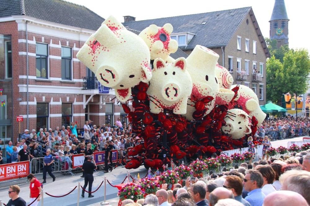 Batalla de Flores holandesa de 2017