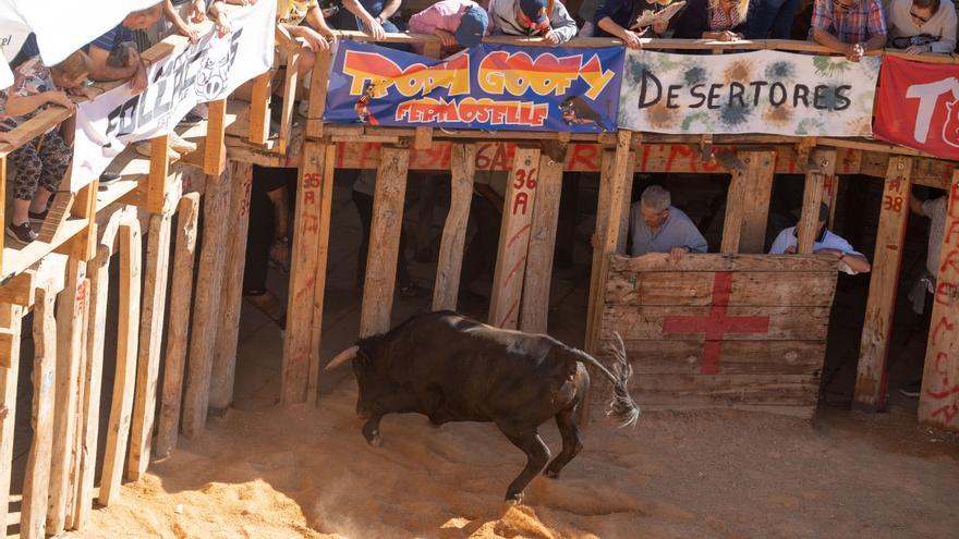 Segundo encierro en Fermoselle