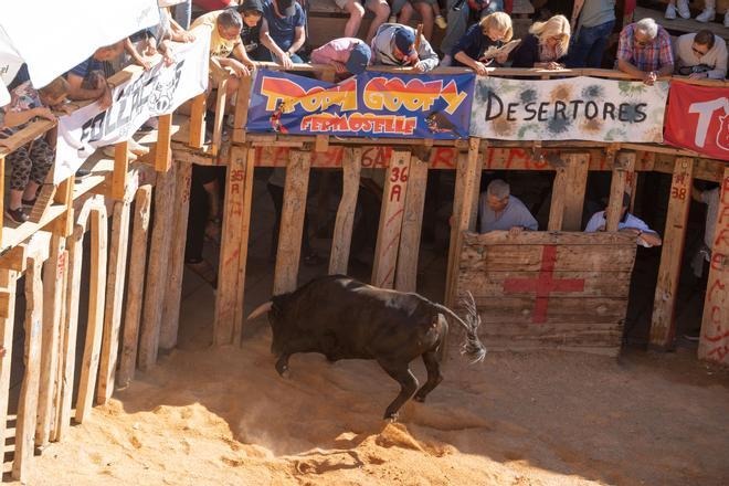 Segundo encierro en Fermoselle