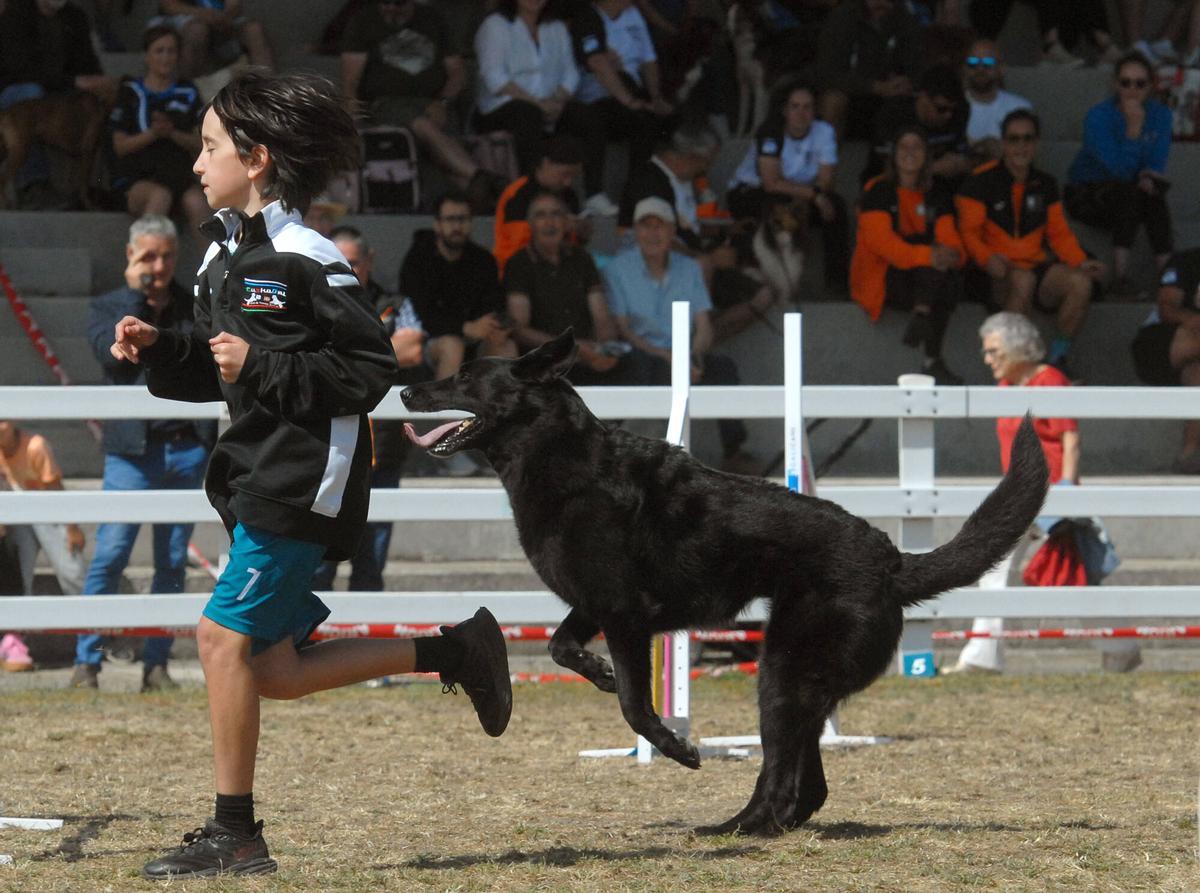 Actividades en la última jornada de la feria