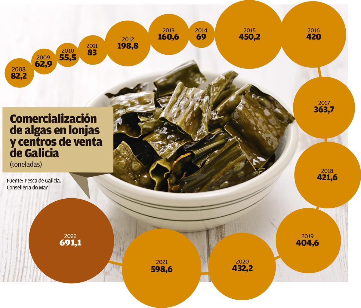 Imagen comercializacion algas