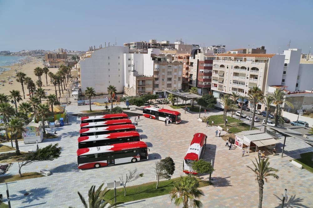 Avanza renueva el 50% de la flota del bus urbano en Torrevieja con siete nuevos vehículos