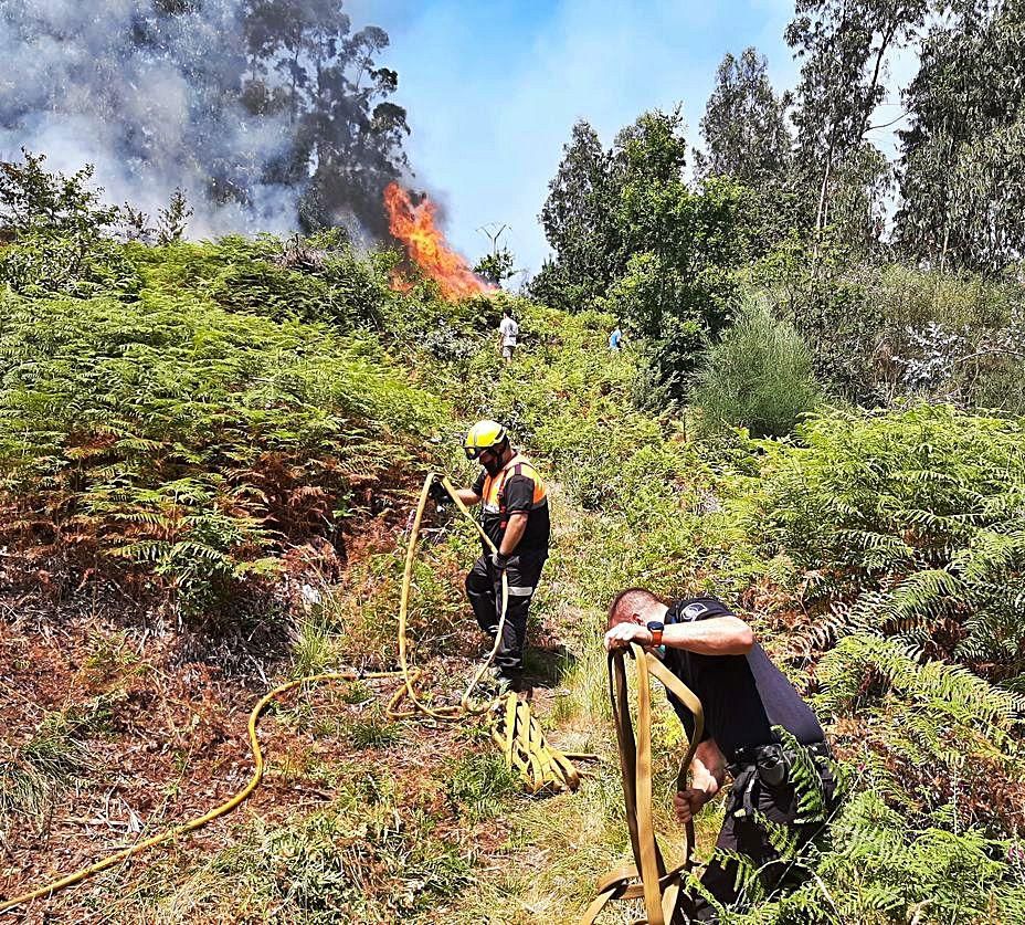 El fuego afectó a una superficie de 1,5 hectáreas. |   // FDV