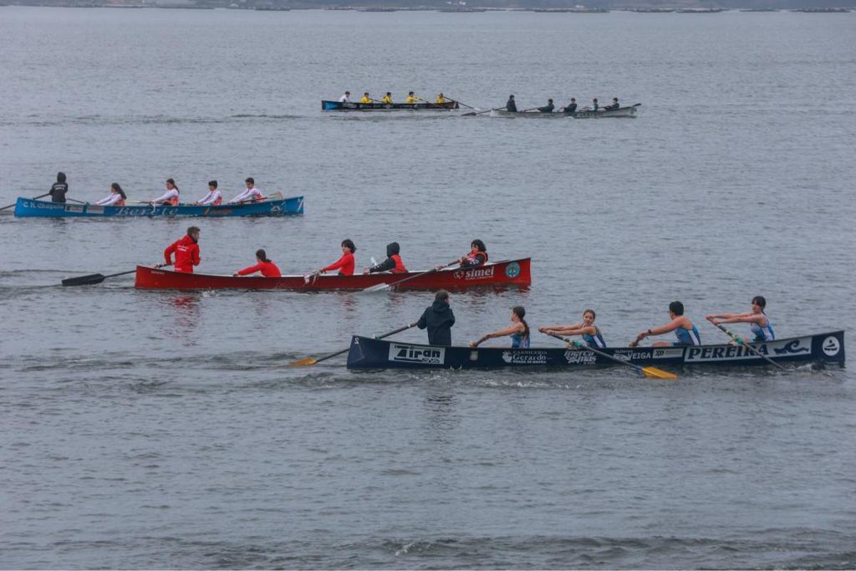 Las imágenes de las regatas de la I Bandera Conservas Orbe en Vilaxoán