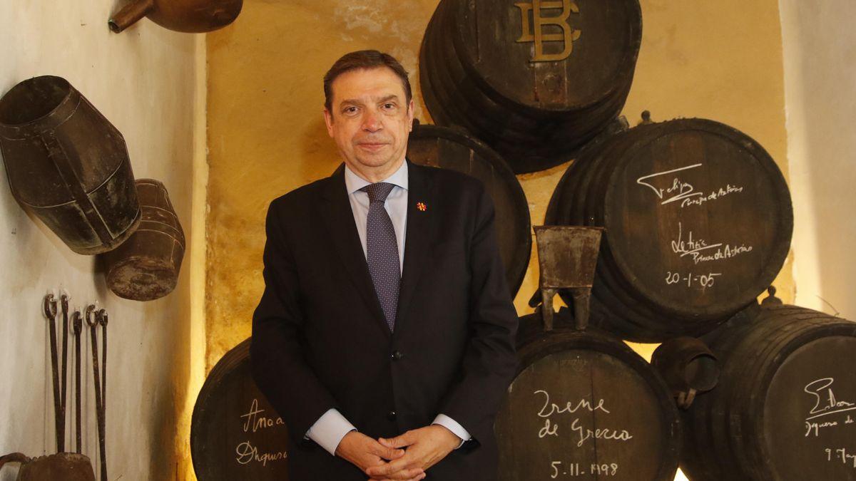 Luis Planas, ministro de Agricultura, Pesca y Alimentación, ayer en Bodegas Campos.