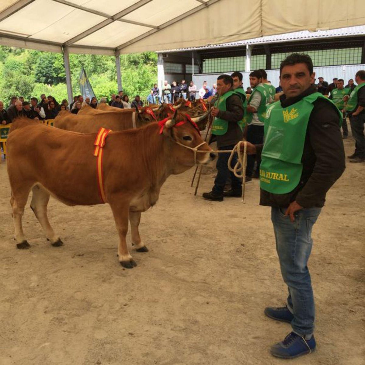 Traviesa con uno de los ejemplares de su ganadería, en otro concurso.