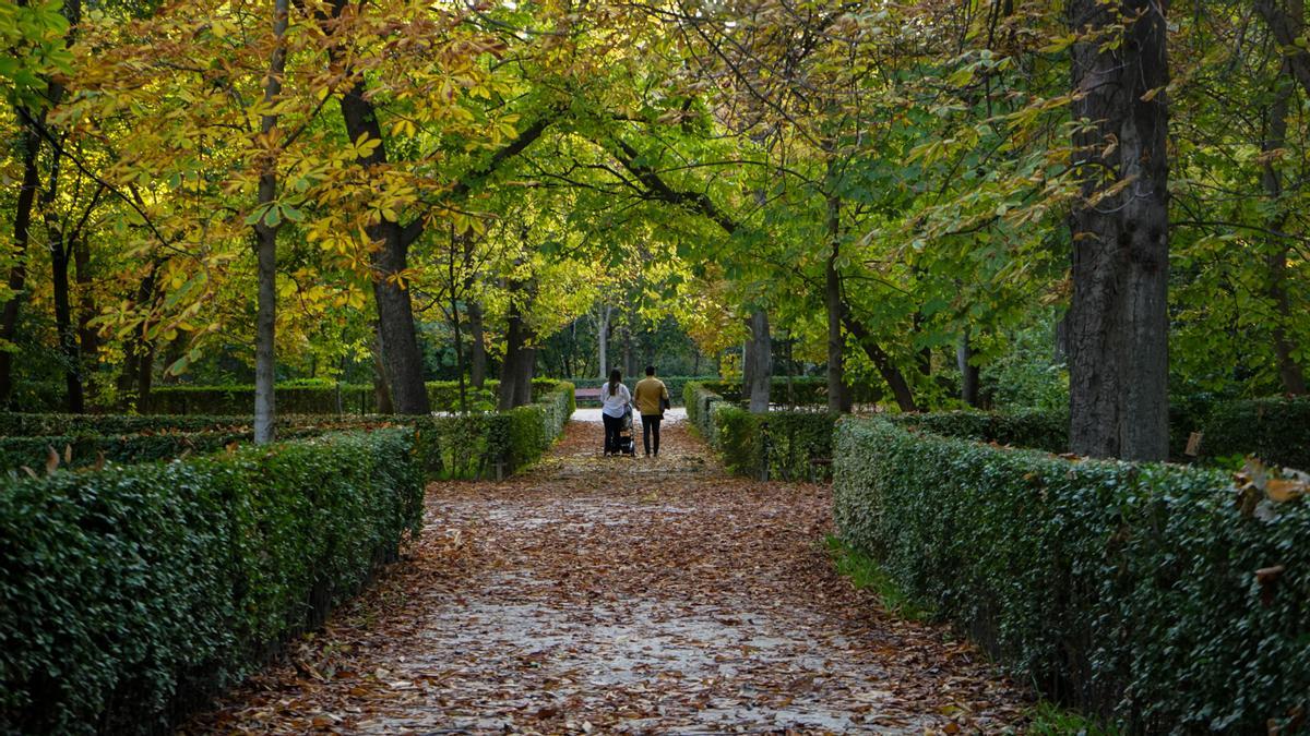 Un rincón del parque del Retiro, en Madrid.
