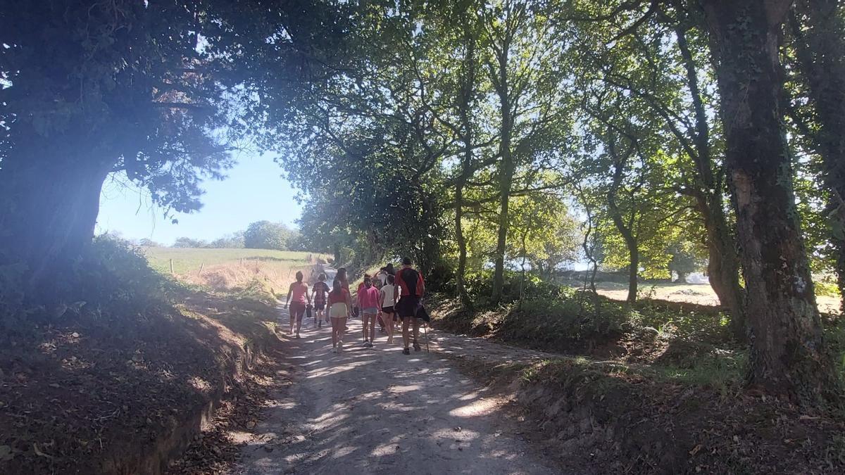 Un grupo de niños y adultos, en el camino de vuelta hacia el área recreativa.