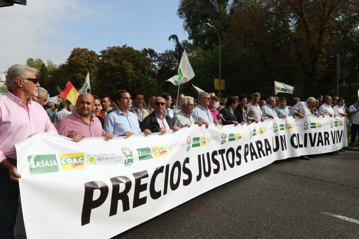 Córdoba se suma a la gran manifestación del olivar en Madrid