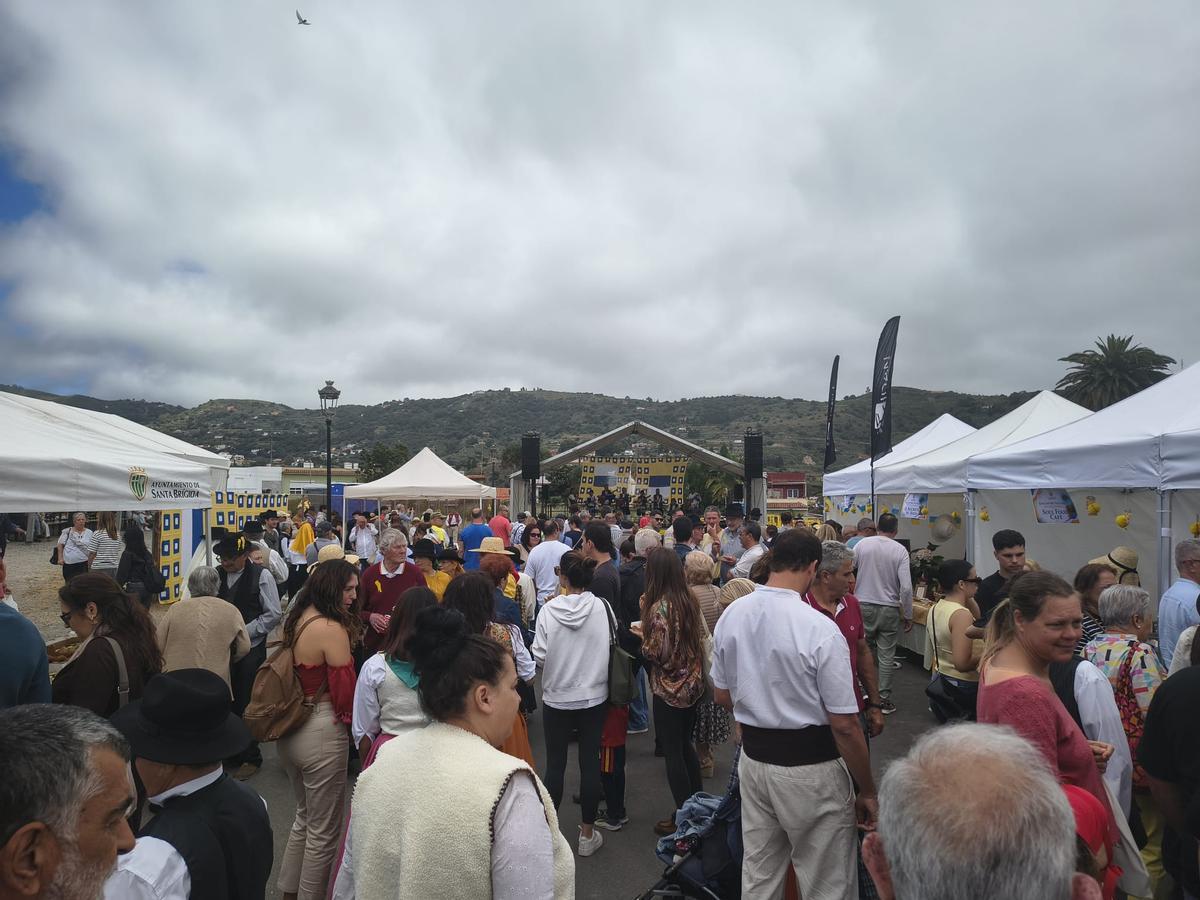 Ambiente en el Día de Canarias en Santa Brígida