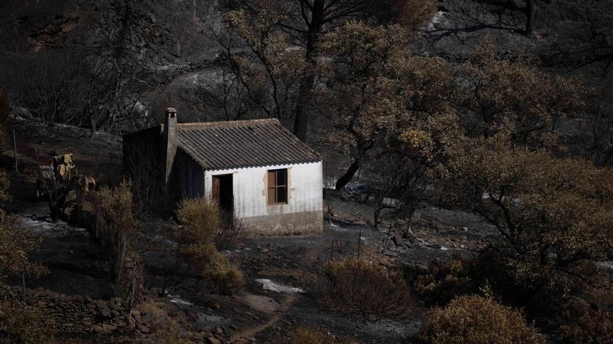 El incendio de Niebla (Huelva) queda controlado tras casi 15 días y 33.000 hectáreas quemadas
