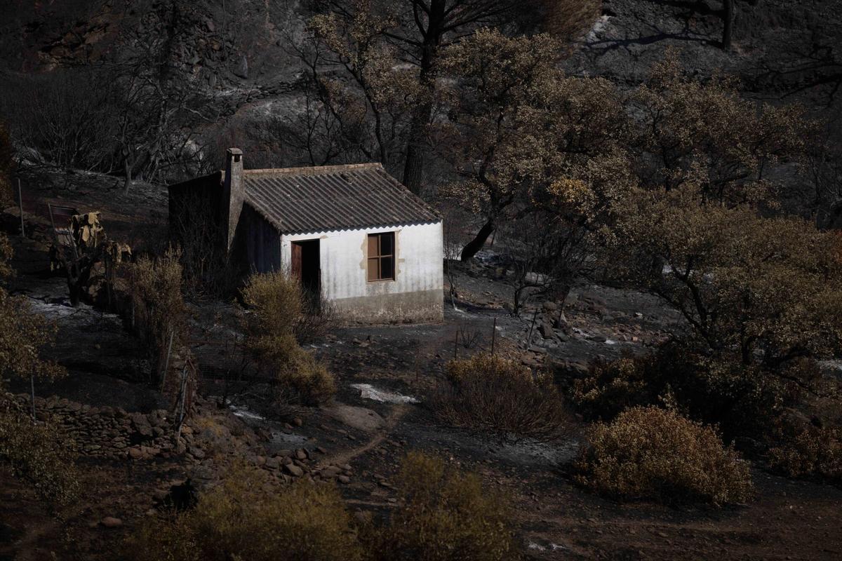 15/08/2026 El incendio de Niebla deja un paisaje desolador en Berrocal (Huelva). A 15 de agosto de 2026 en Berrocal (Huelva, Andalucía, España). El incendio de Niebla (Huelva), que supera las 38.000 hectáreas recorridas tras más de una semana activo, ha golpeado con fuerza al municipio de Berrocal, donde las llamas han arrasado con más del 90% de su término municipal dejando un paisaje desolador de carbón y cenizas. SOCIEDAD Clara Carrasco - Europa Press