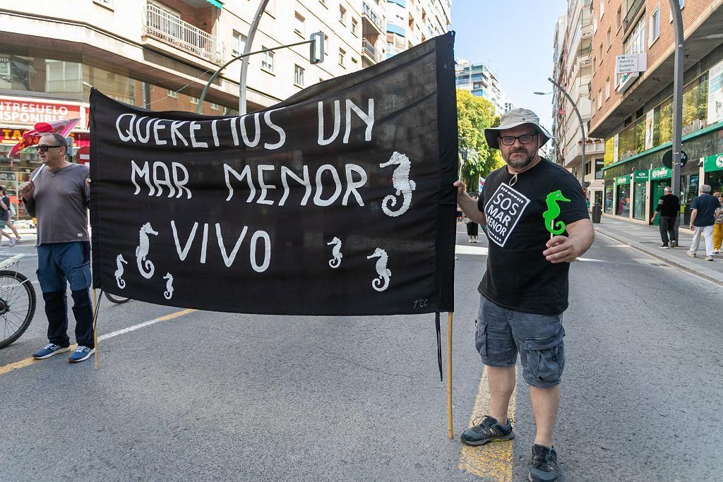 Las marchas de la dignidad este 9 de junio, en imágenes