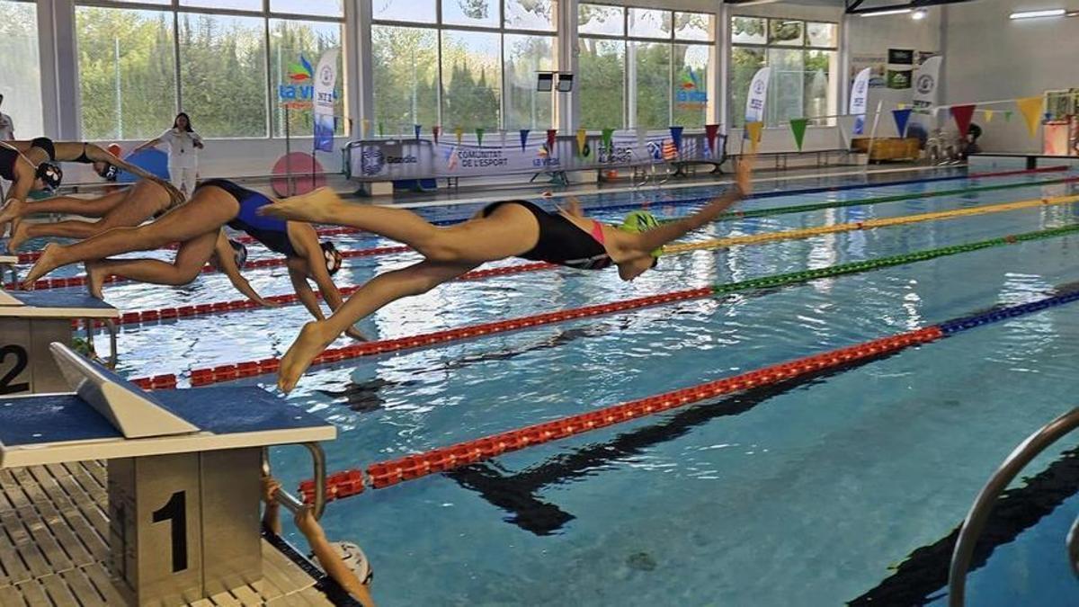 Una competición en la piscina de Gandia