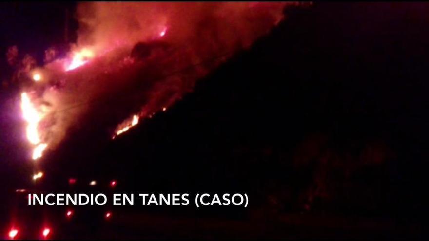 Incendio en las inmediaciones de Tanes