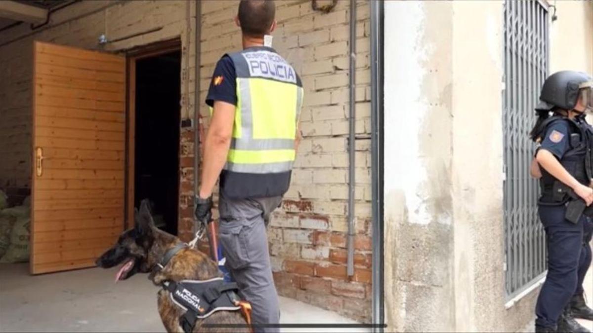 Policía Nacional en uno de los registros.