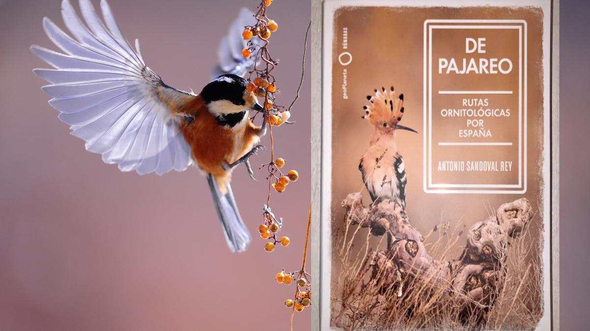'De pajareo', un libro para conocer los hábitats y las especies