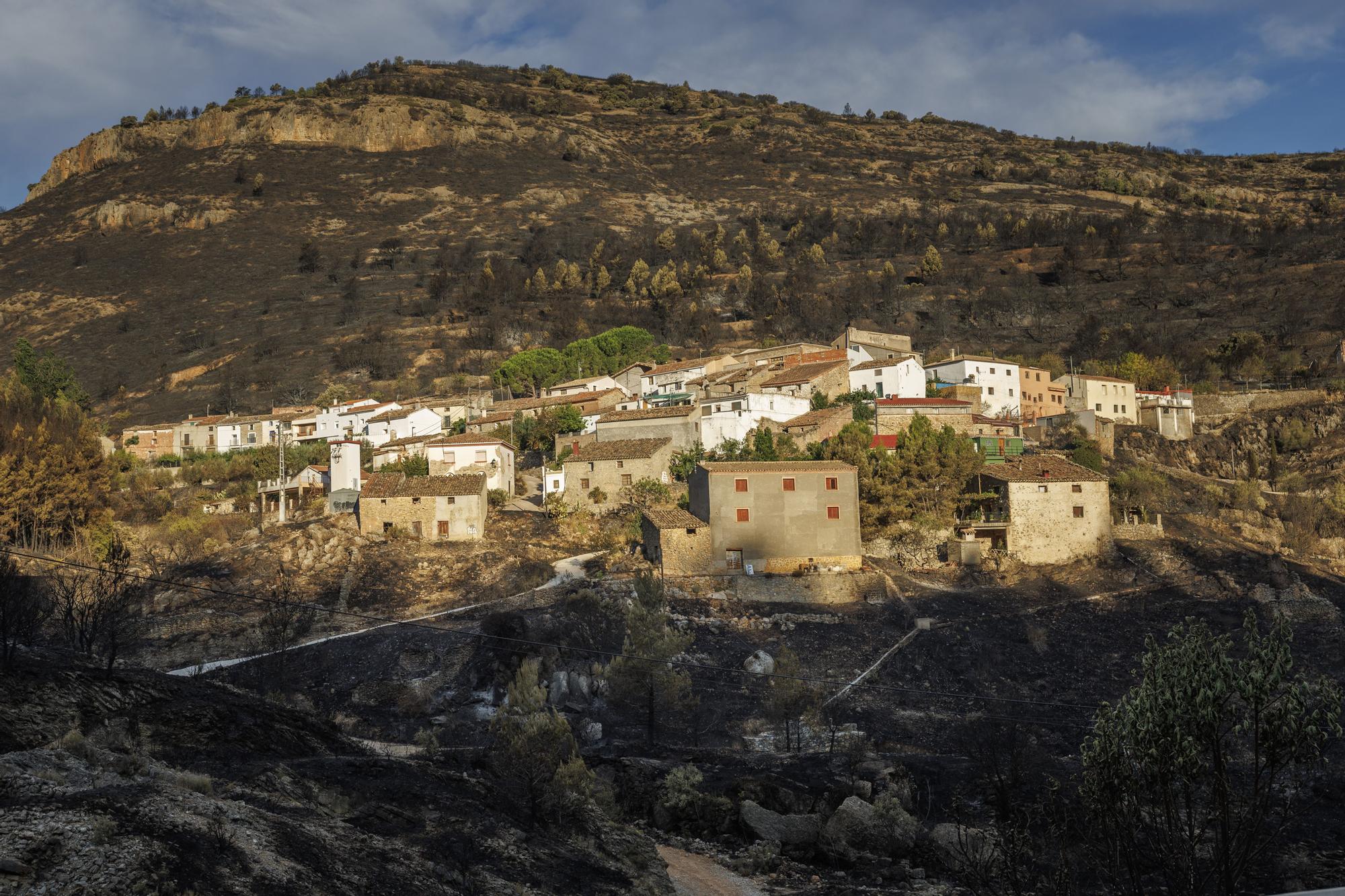 La lluvia reduce la llama del incendio de Bejís hasta casi desaparecer