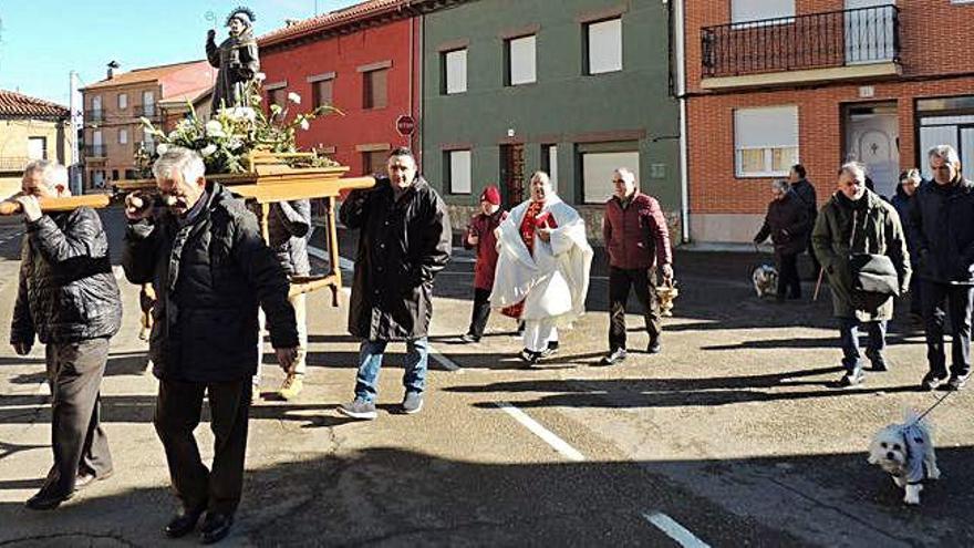 Procesión con la imagen de san Antón por la travesía de Santa Cristina de la Polvorosa, con los devotos acompañados por sus perros