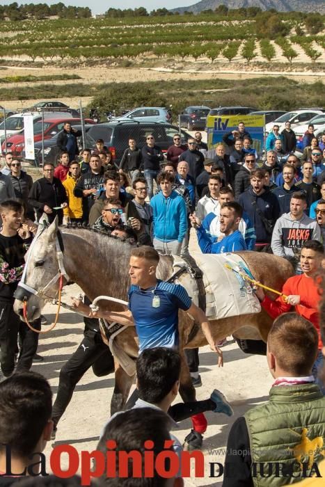 Carrera de entrenamiento de los Caballos del Vino