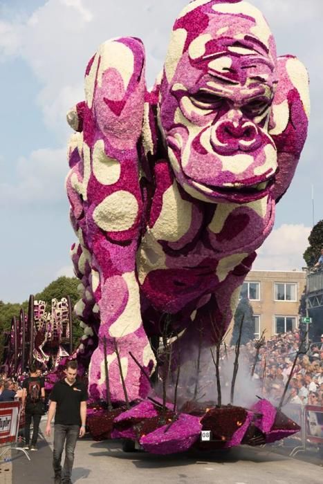 Batalla de Flores holandesa de 2017