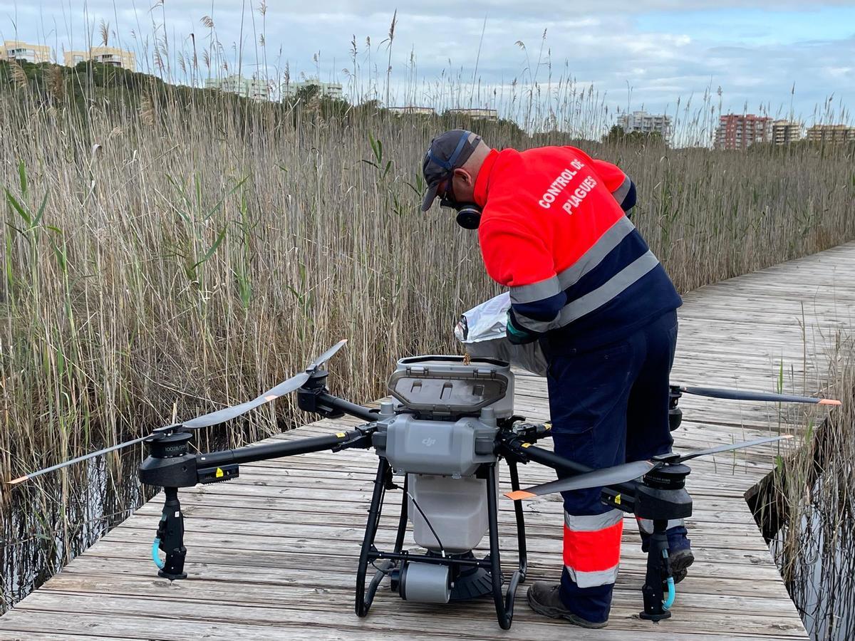 Dron empleado en la Devesa del Saler