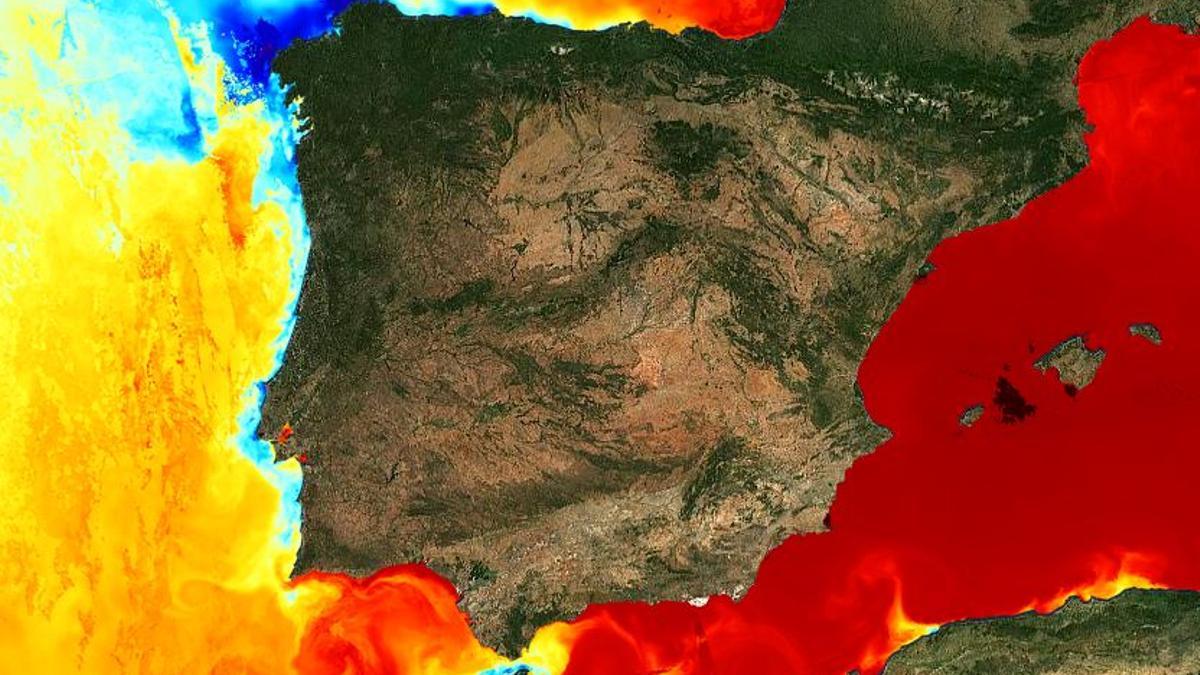 La boya de sa Dragonera supera los 30 grados de temperatura