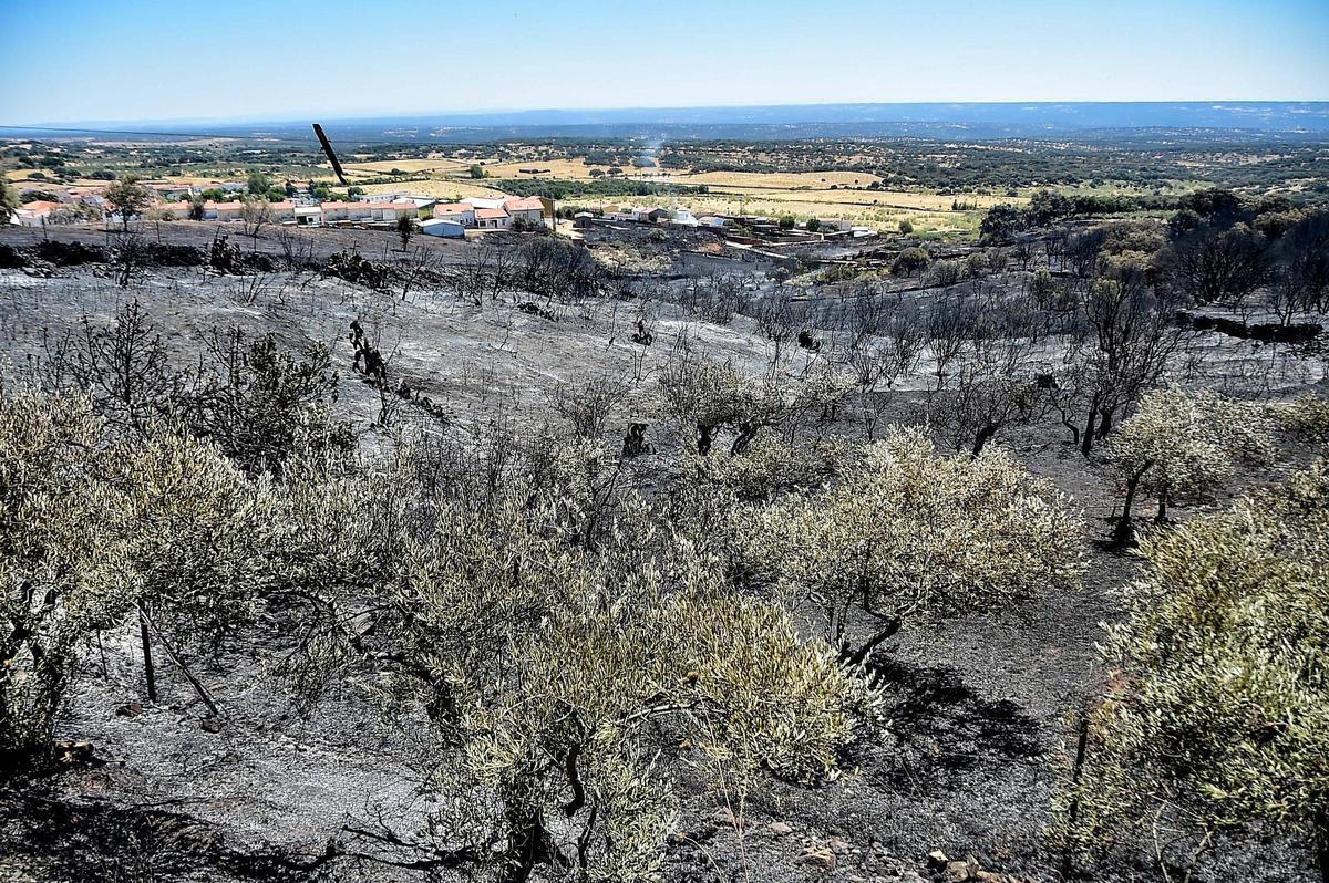 Fotogalería | Así ha quedado la zona de Casas de Millán tras el paso del incendio