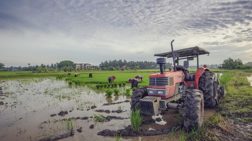 La Junta solicita ampliar el plazo de presentación de la Solicitud Única 2025 y pide flexibilización en la PAC