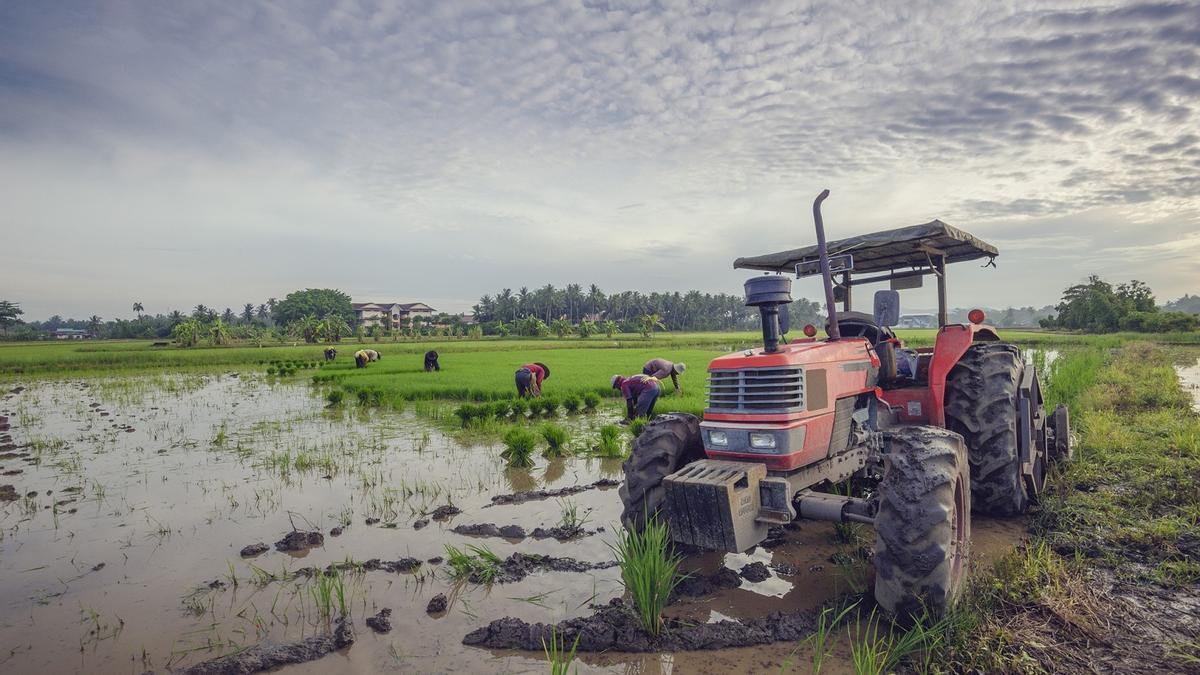 Maquinaria agrícola en un terreno anegado.