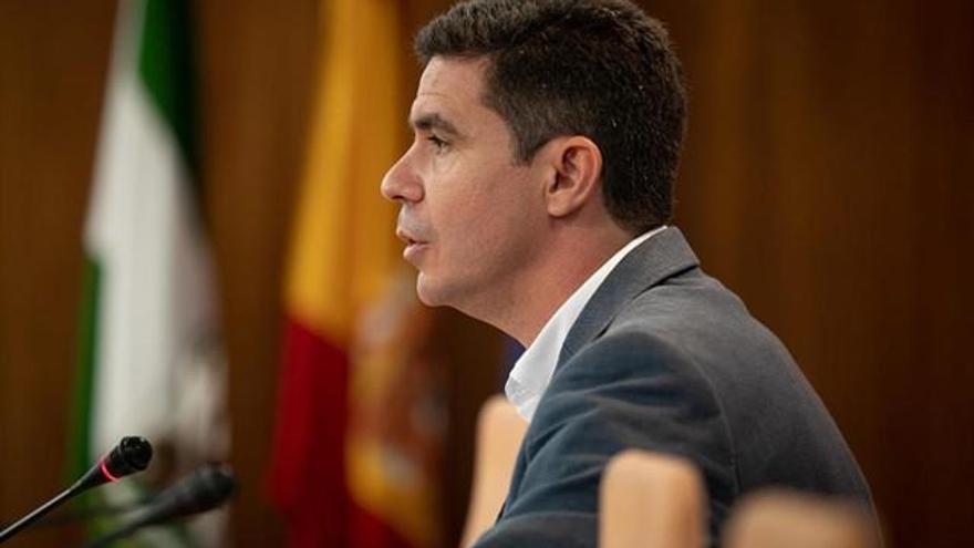 El portavoz de Cs en el Parlamento andaluz, Sergio Romero