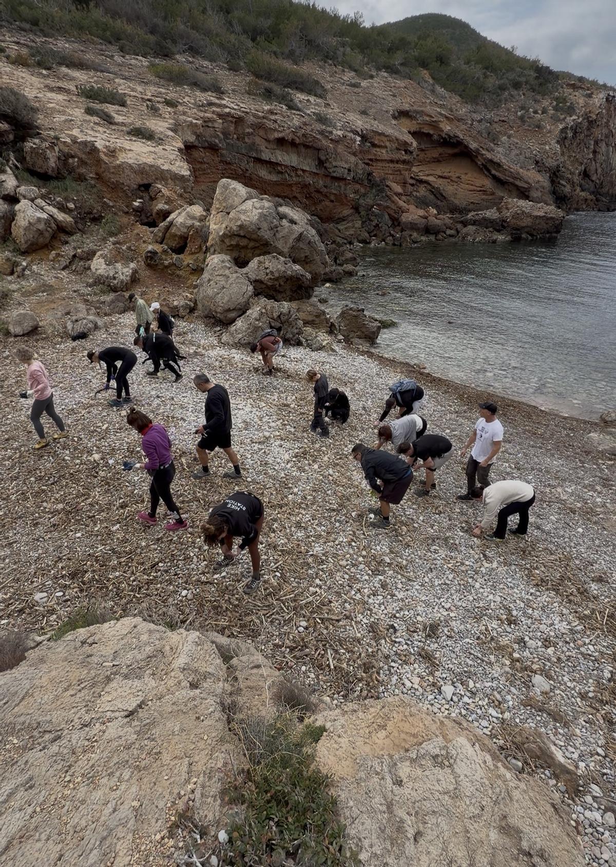 25 hikers limpian dos playas escondidas de Ibiza