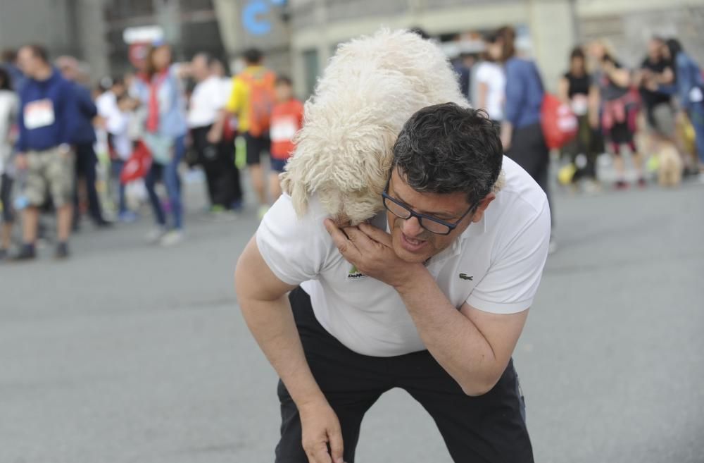 Correcán 2017 en A Coruña