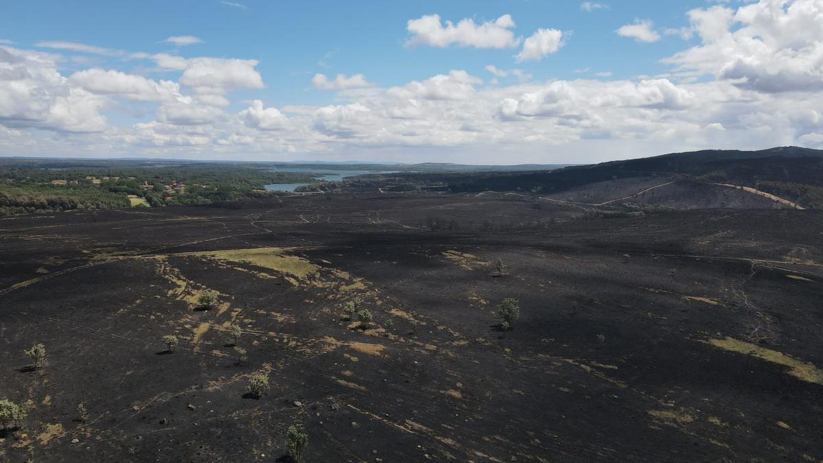 Superficie calcinada entre Cional y Boya por el incendio en Sierra de la Culebra.