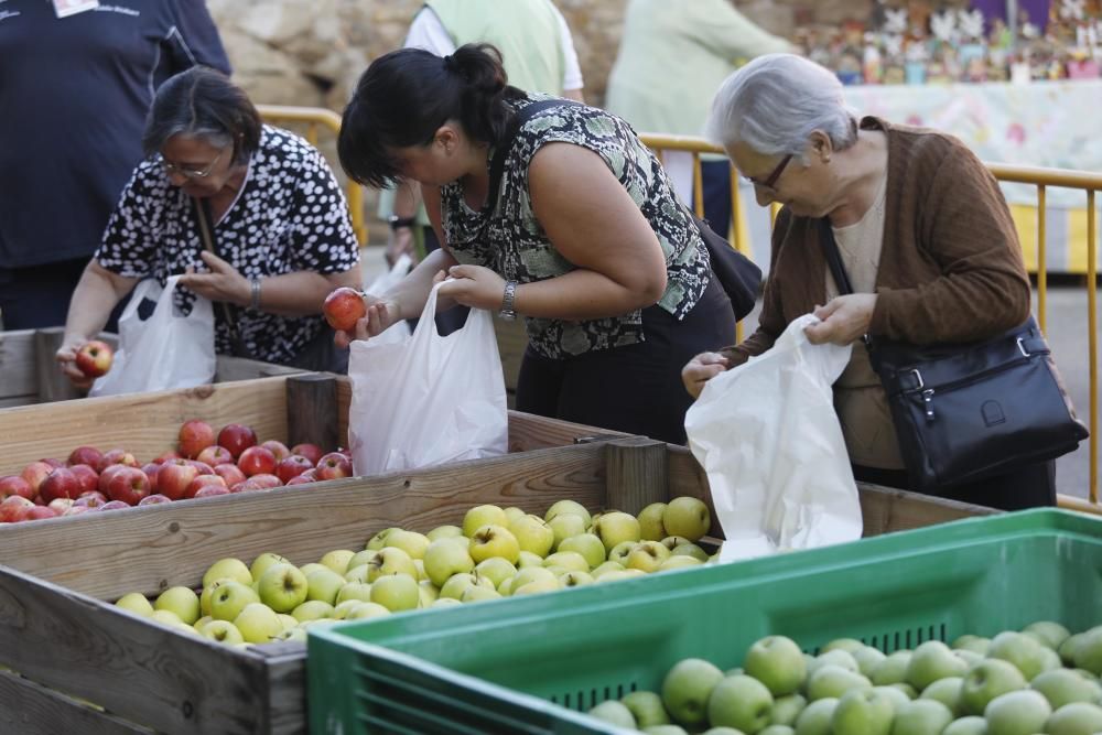 Onzena edició de la fira i mercat de la Poma d'Ullà