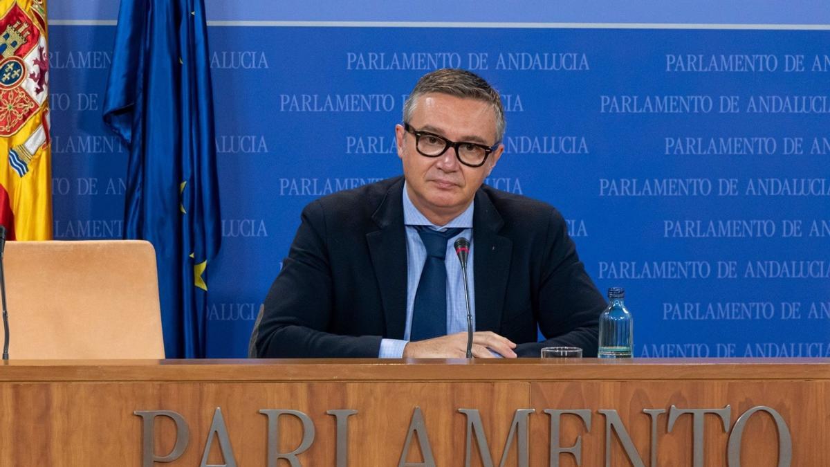 El portavoz de Vox en el Parlamento andaluz, Manuel Gavira