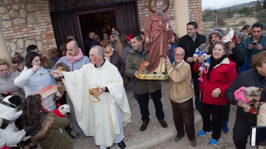 Alcantarilla bendice a sus mascotas