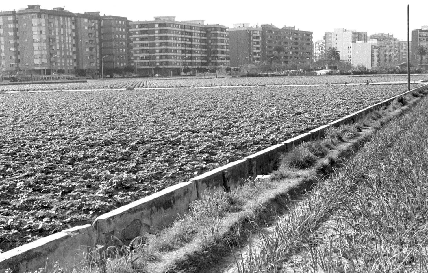 El poder de lo vintage: el pasado en tendencia - La Huerta Valenciana