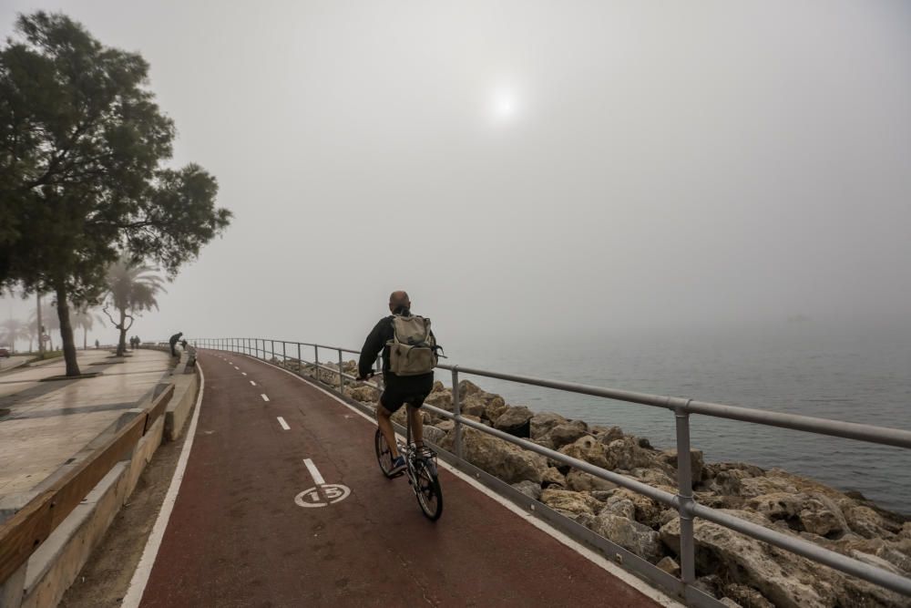 La niebla cubre Mallorca y no se irá hasta mañana