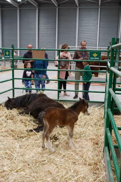 I Feria Raíces Zamora-Rural