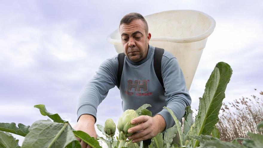 La marca Alcachofa de la Vega Baja reivindica la inteligencia agraria y la tradición frente a la IA tecnológica