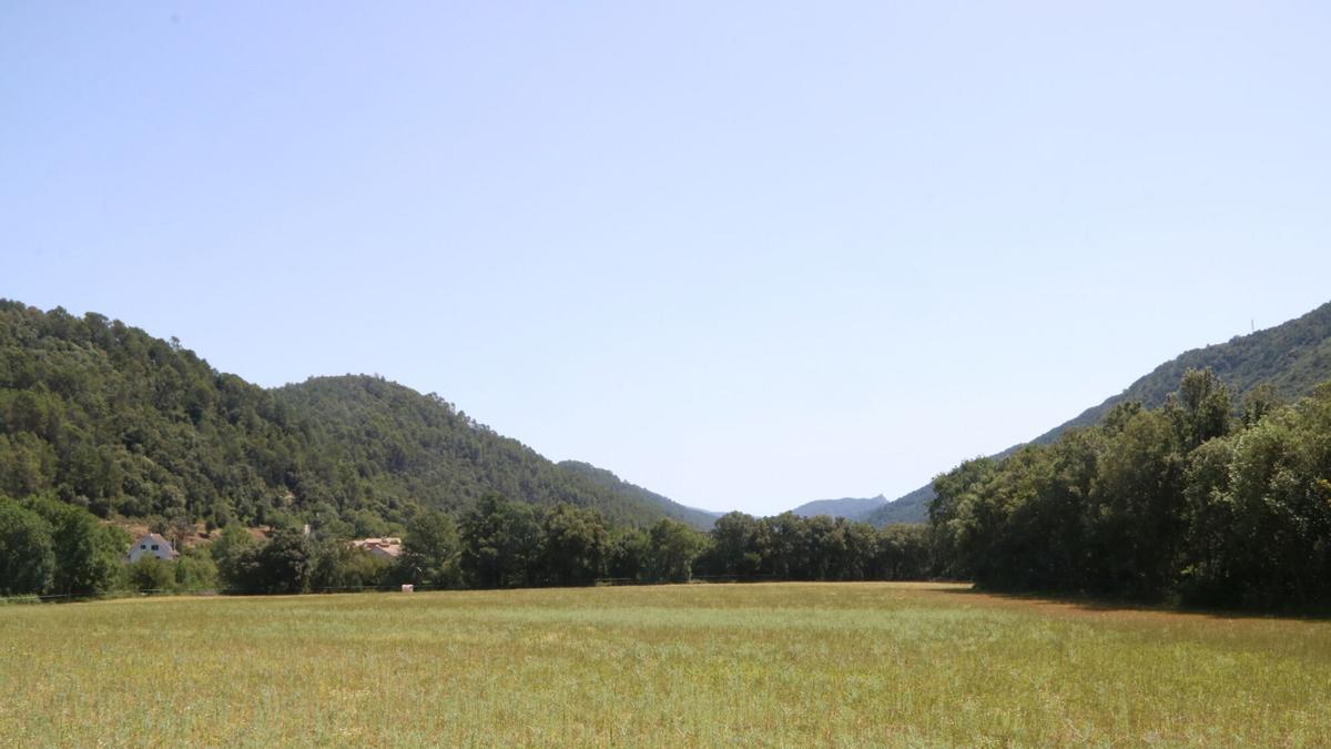Les ajudes són per diversificar l’activitat econòmica a les zones rurals.