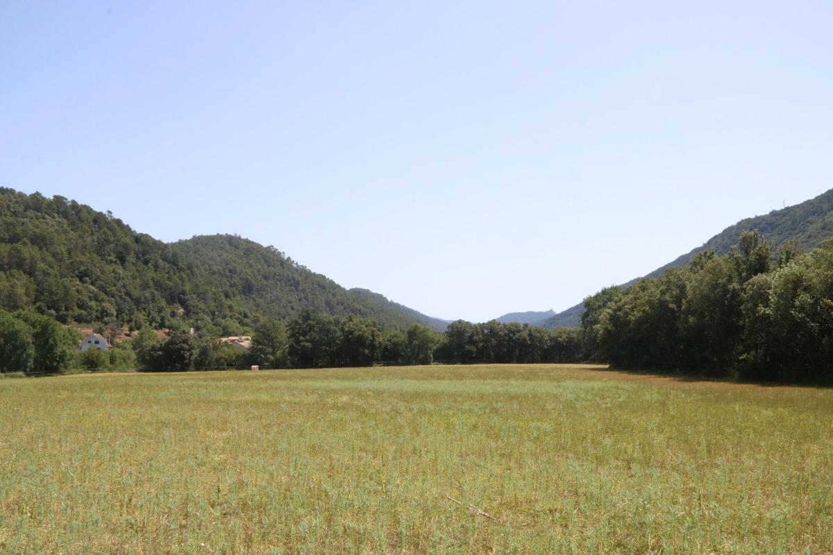 Pla general de camps i muntanyes a la zona d'Albanyà