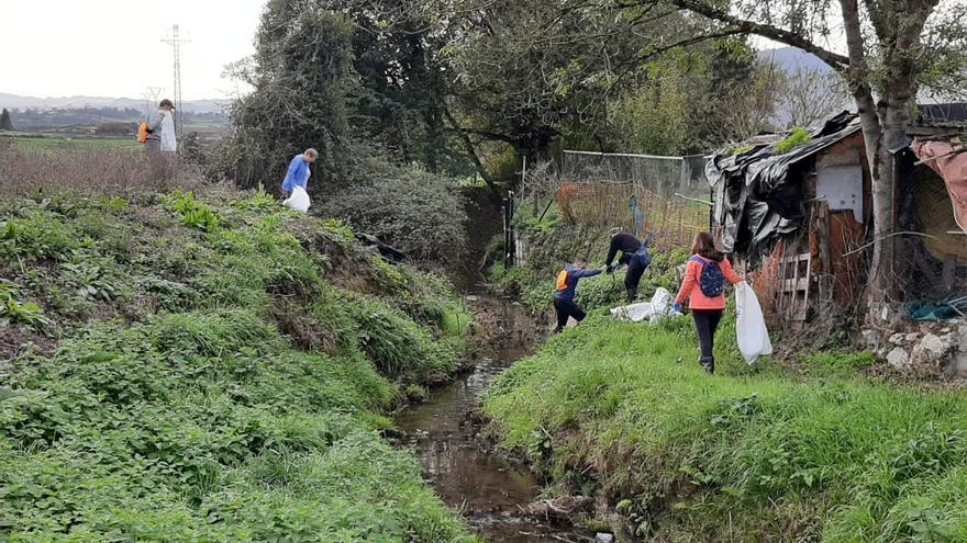 Así limpian los voluntarios el río Zalandrón en Posada de Llanera