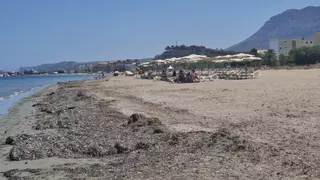 Urgente mejora de la playa del Raset de Dénia