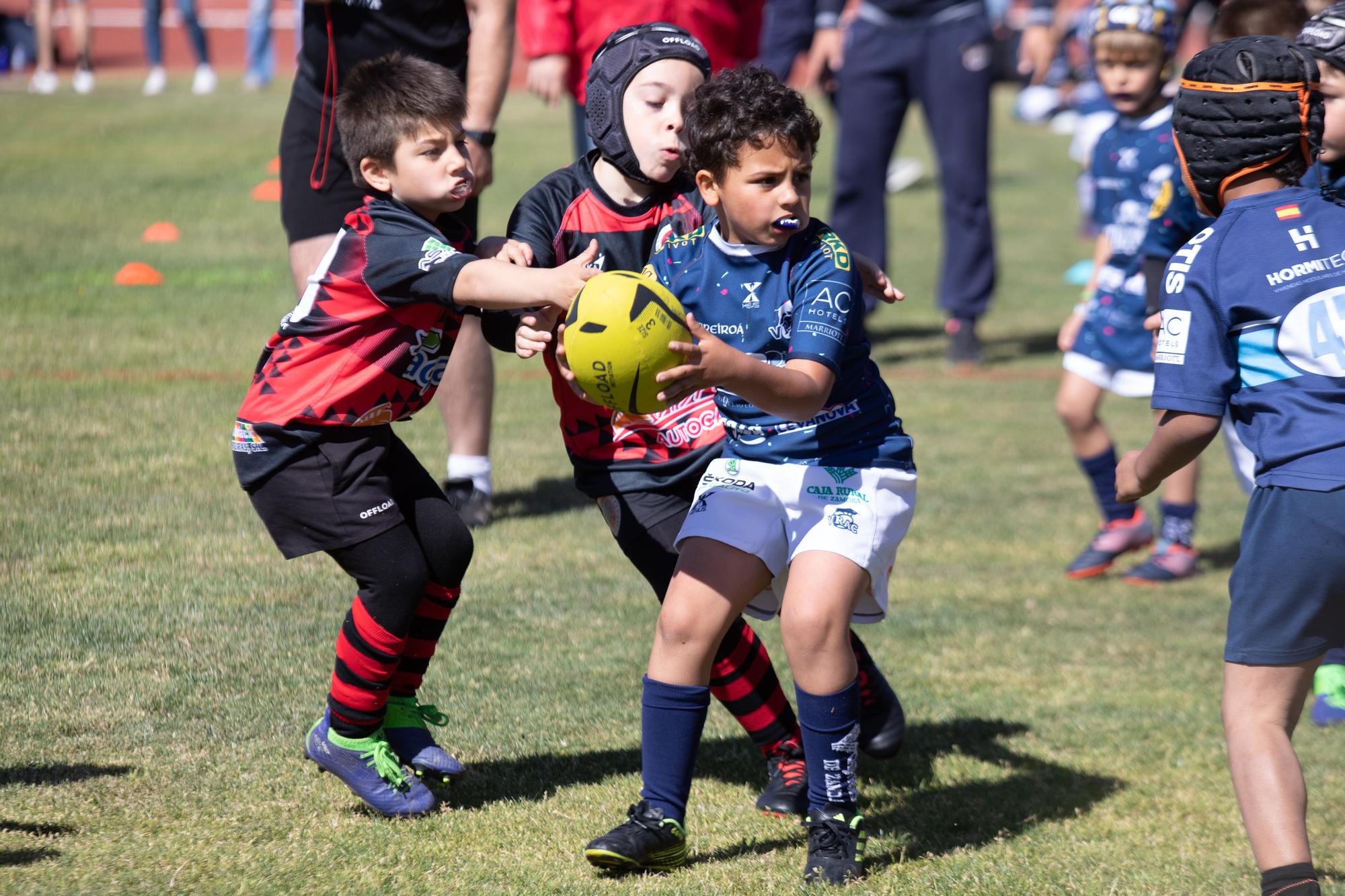 GALERÍA | El rugby más puro brilla con la "II Jornada de canteras Ciudad de Zamora"